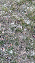 Similar image 21711253