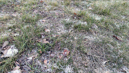 Similar image 21711255