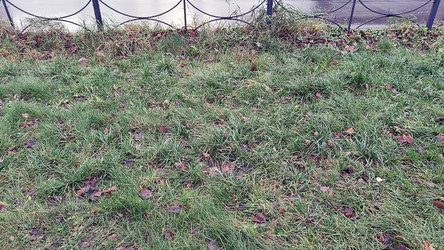 Similar image 21711395