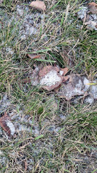 Similar image 21711402