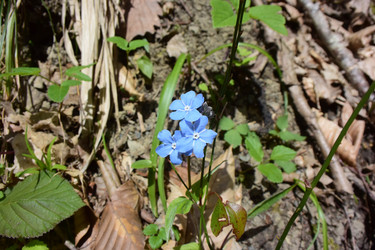 Similar image 21711231