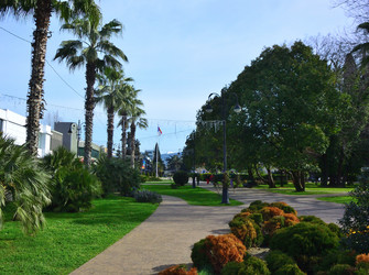 Similar image 21711232