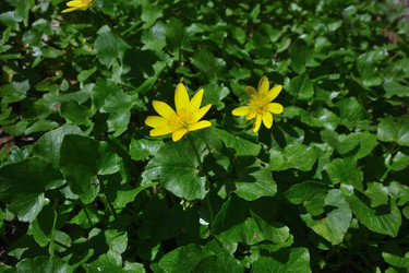 Similar image 21711233