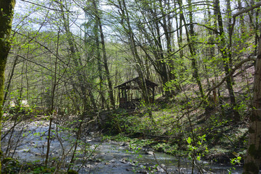 Similar image 21711234