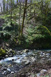 Similar image 21711235