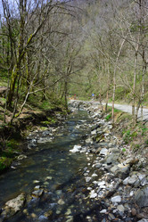 Similar image 21711237