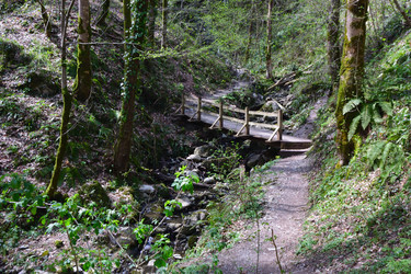 Similar image 21711292