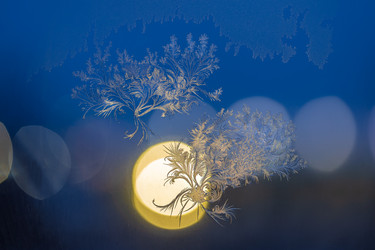 Similar image 21711164