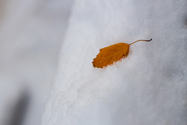 Similar image 21711458