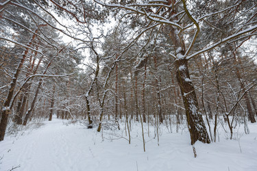 Similar image 21711167