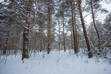 Similar image 21711168