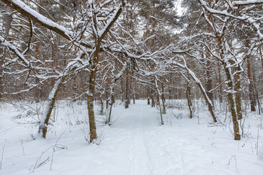 Similar image 21711169