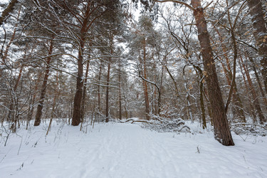 Similar image 21711170