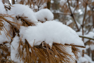 Similar image 21711467