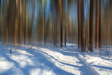 Similar image 21711172