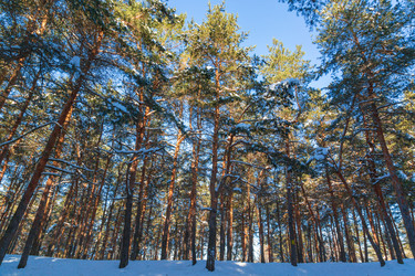 Similar image 21711173