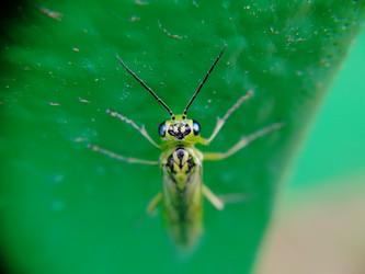 Similar image 21711294