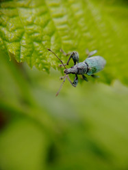 Similar image 21711295