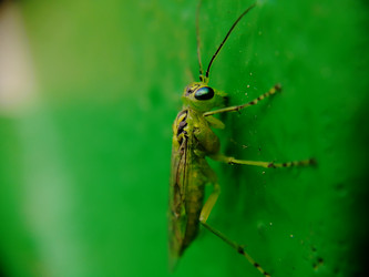 Similar image 21711296