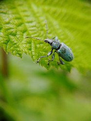 Similar image 21711297