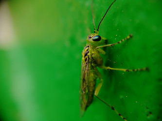 Similar image 21711298