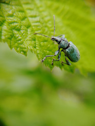 Similar image 21711299