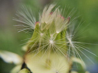 Similar image 21711300