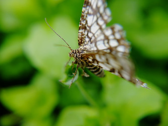 Similar image 21711301