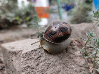 Similar image 21719208