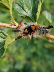 Similar image 21711303