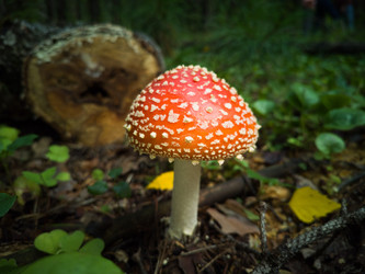 Similar image 21719209