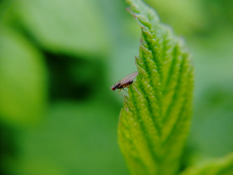 Similar image 21711305