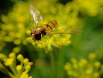 Similar image 21711306