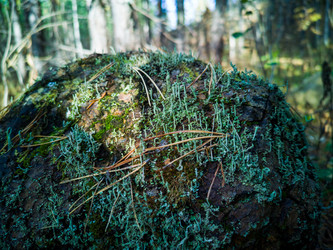 Similar image 21712673