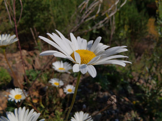 Similar image 21711308