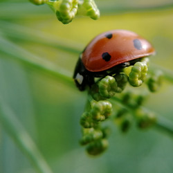 Similar image 21711309