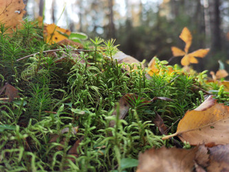 Similar image 21712674