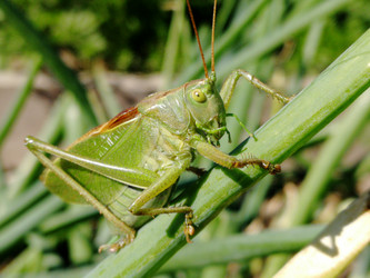 Similar image 21711310