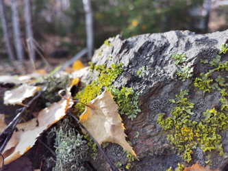 Similar image 21712675