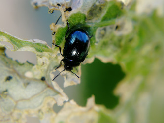 Similar image 21711312