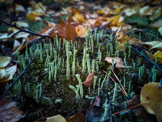 Similar image 21712676