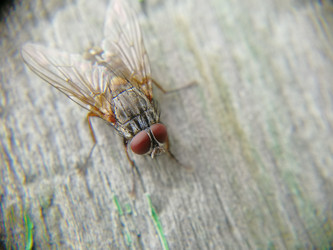 Similar image 21711313