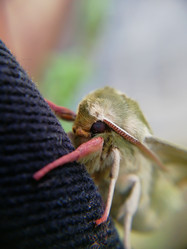 Similar image 21711318