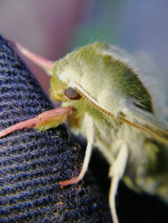 Similar image 21711319