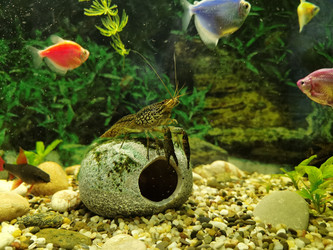 Similar image 21711320