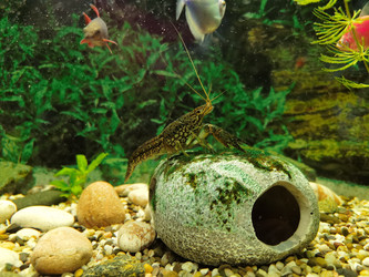 Similar image 21711321