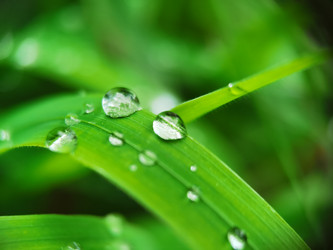 Similar image 21711322