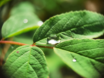 Similar image 21711323