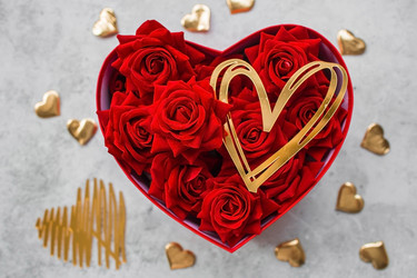 Similar image 21711357