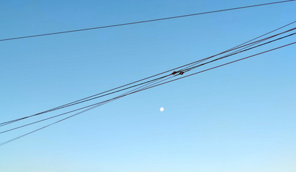 Similar image 21712032